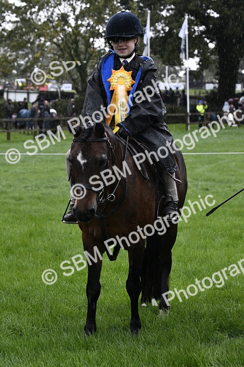 SBM_35589 - S30 - Nursery Stakes Working Hunter Pony