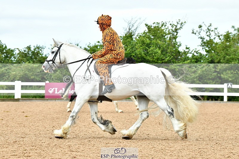 230804A-105908-02089 - Musical Ride
