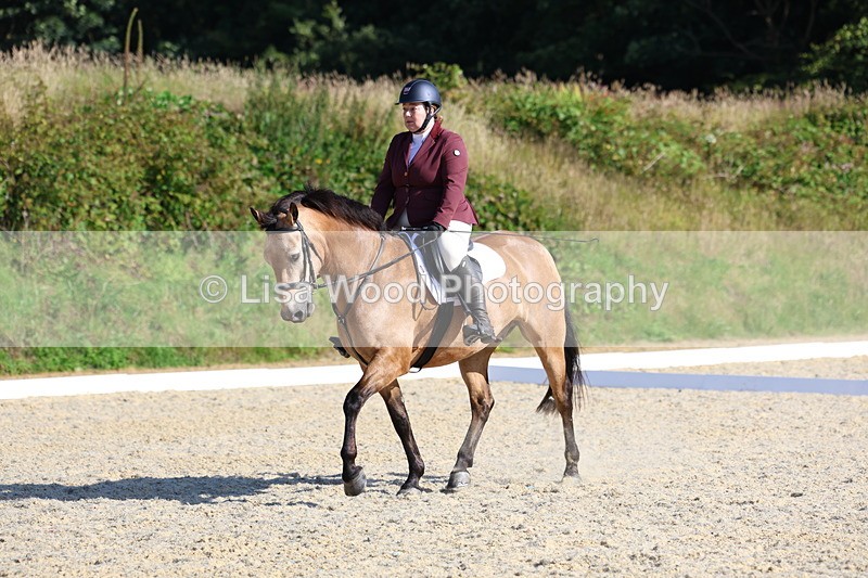 3E7A3396 - Class 2: Intro 1 2024 Section B