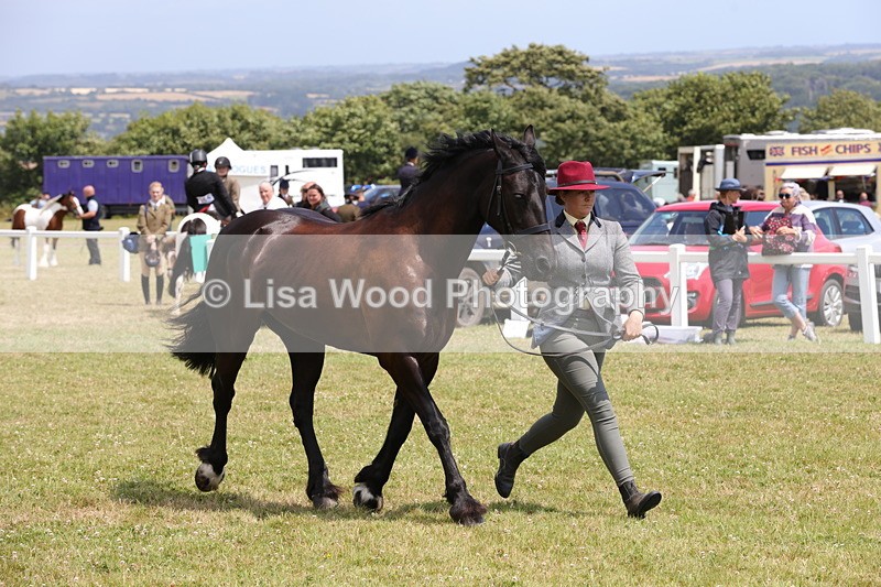 1X9A4858 - Class 35: Veteran In Hand