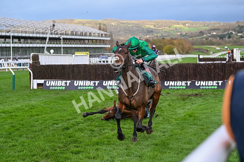 171124-Race 3-Matata-3176