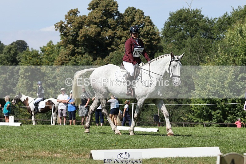 250823A-125910-29599 - Arena D