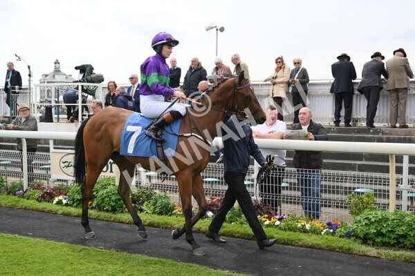 yr13052022r1-18 - Race 1 1.50pm Knights the new name for Langleys British EBF Marygate Fillies' Stakes