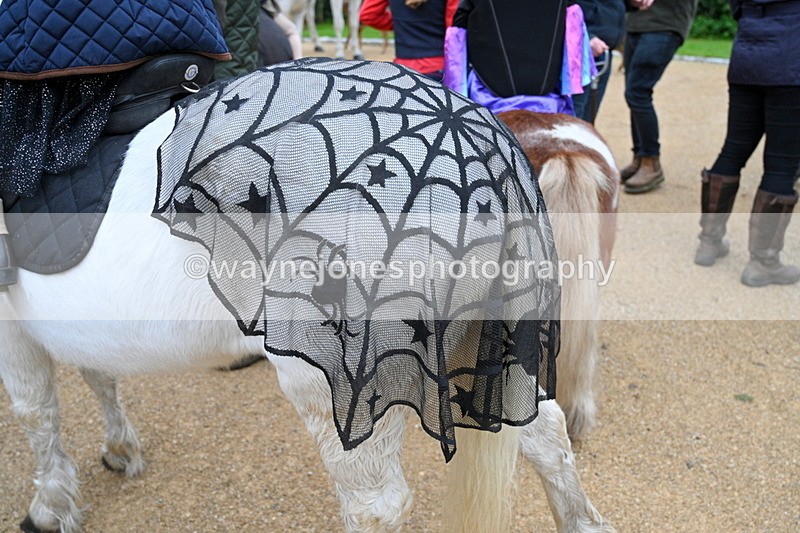 WJ7_6080 - Berks & Bucks - Children's Meet - The Old Farmhouse – Steventon.