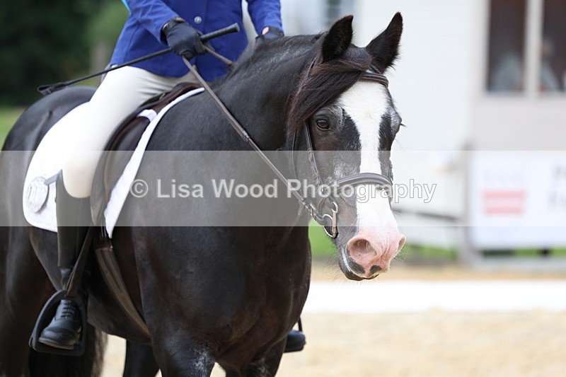 3E7A1671 - Class 2: Intro 2 2024 Section B