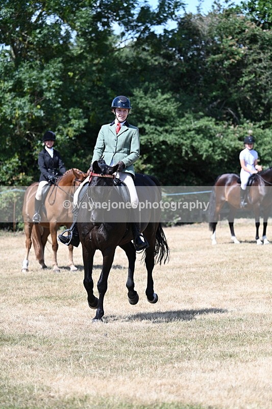 WJ7_3582 - Class 8 Ridden Veterans