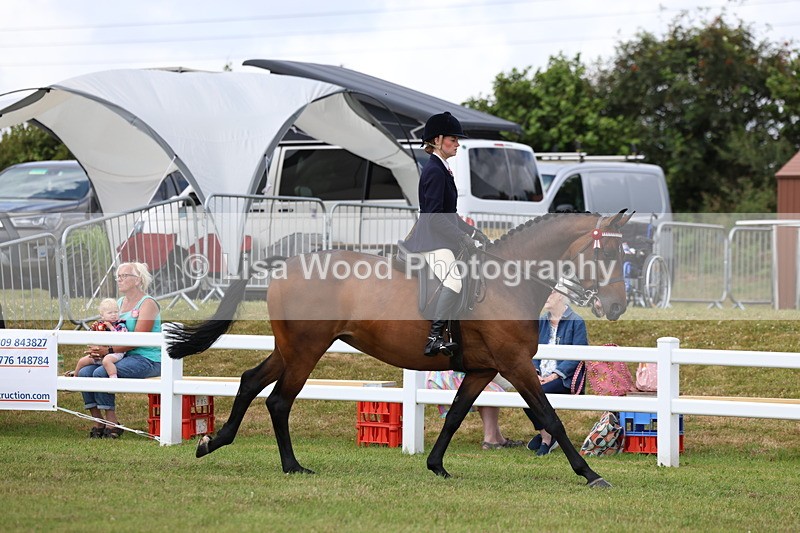 3E7A0538 - Rising Star Ridden Championship