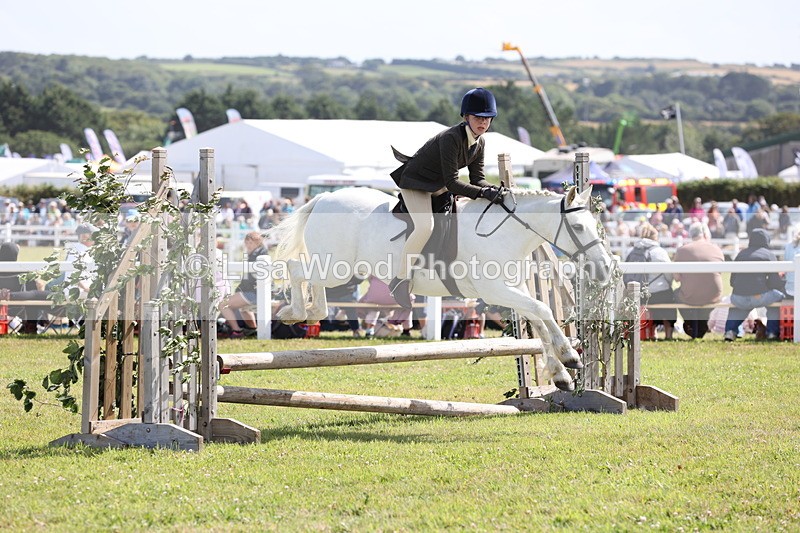 JPP_2240 - Class 19: Working Hunter 60cm