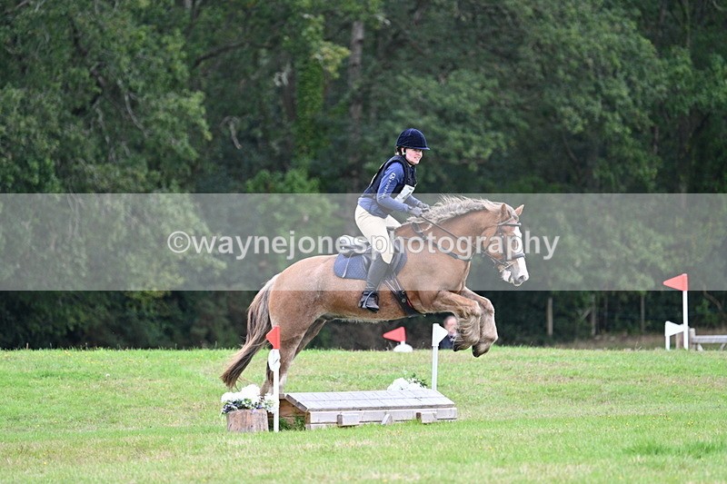 WJ7_7730 - 40cm Time 10:49 to 11:18