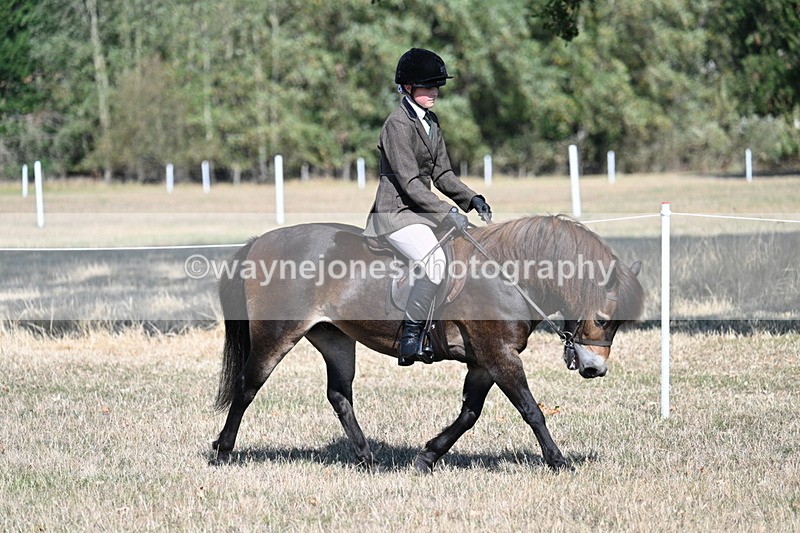 WJ7_3475 - Class 9 Mountain & Moorland Ridden