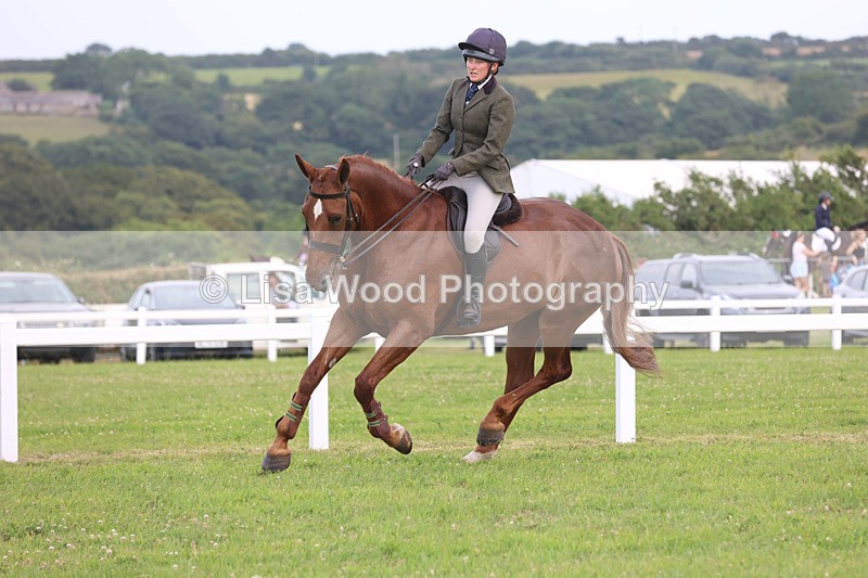 JPP_4385 - Class 26: Working Hunter 1m