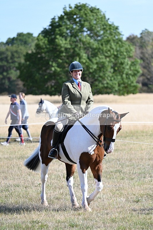 WJ7_3064 - Class 8 Ridden Tack & Turnout