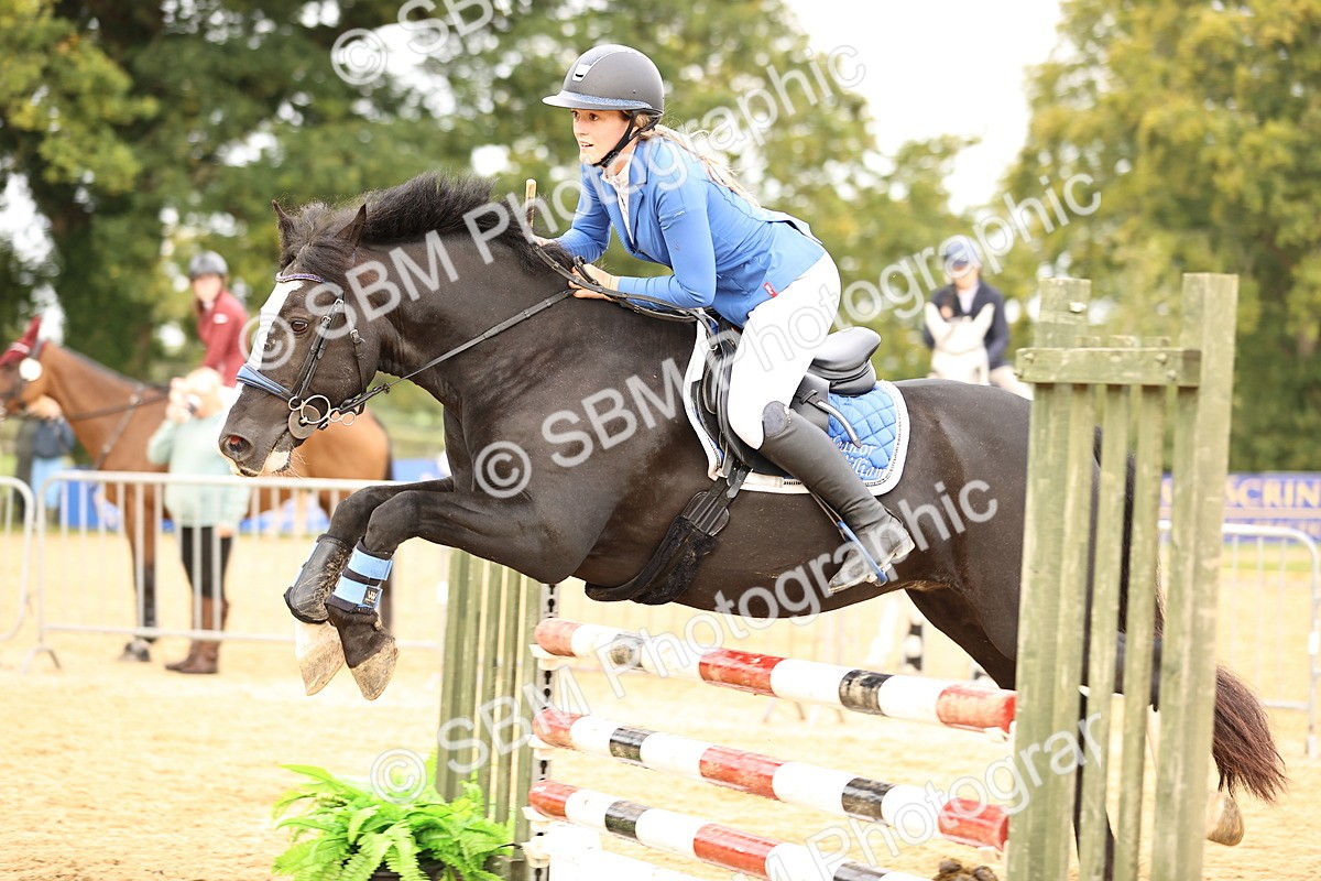 SBM_58272 - J41 - Grand Tour Horse & Pony 95cm