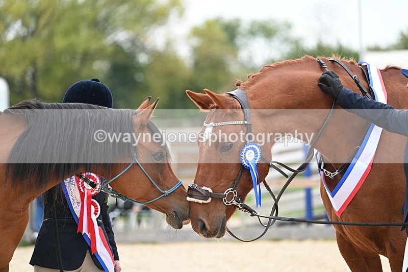 WJ7_1987 - Class 1 & Champs