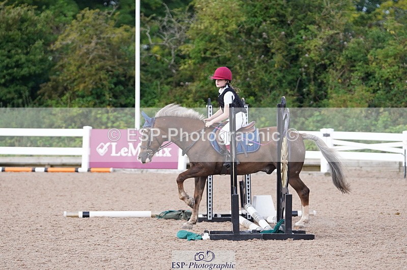 240809A-112048-00726 - Showjumping Competition