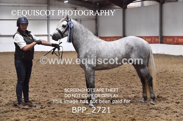 BPP_2721 - LOOSE JUMPING / SPSS