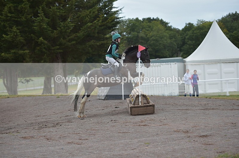 NGP_2736 - XC Time 11:37 to 11:57