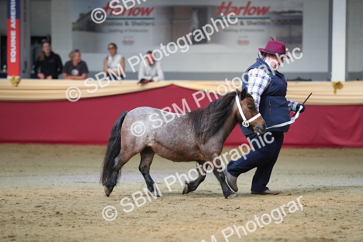 SBM_01361 - Class 3a Area IH Pre Vet