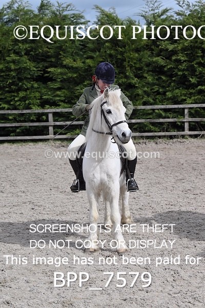 BPP_7579 - RING 1  (RIDDEN HORSES / IN HAND / VETERAN ETC)