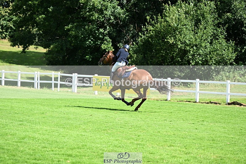 250703A-101315-02528 - Cls 1 Snr Foxhunter