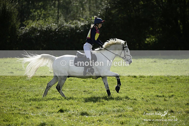  WWHT 031021 2054 - Novice Pairs (0.80m)  03/10/21