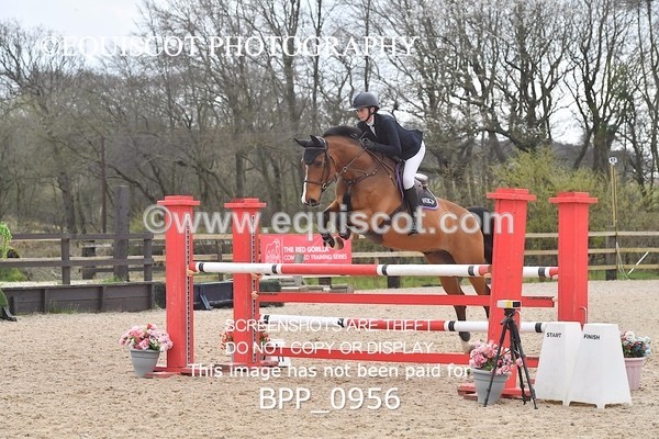 BPP_0956 - CLASS 6 Senior Newcomers/ 1.10m Open