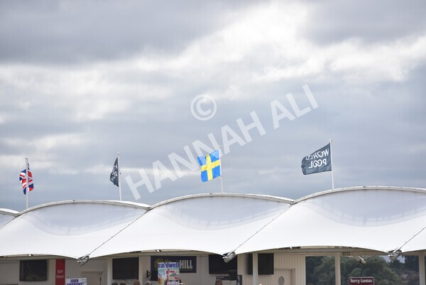 yr17082022r4-99 - Race 4 3.35pm Juddmonte International Stakes (British Champions Series Race)