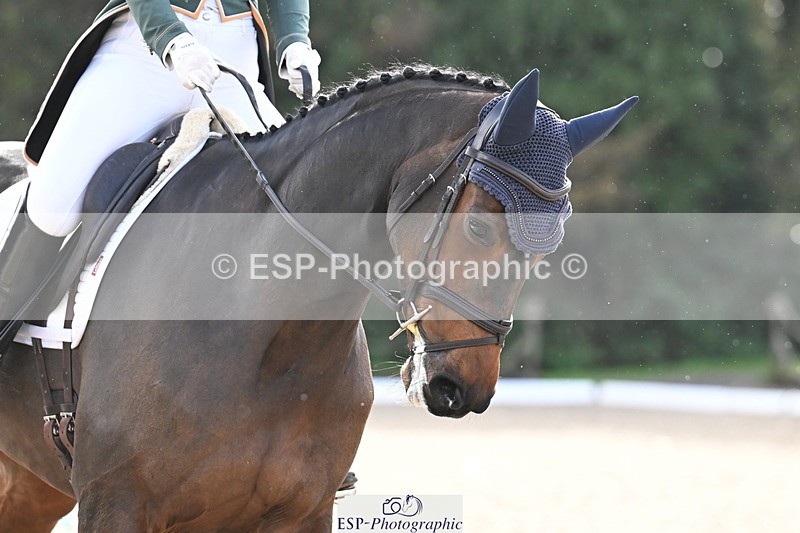 251023A-141736-05487 - B-150-Susie.Berry