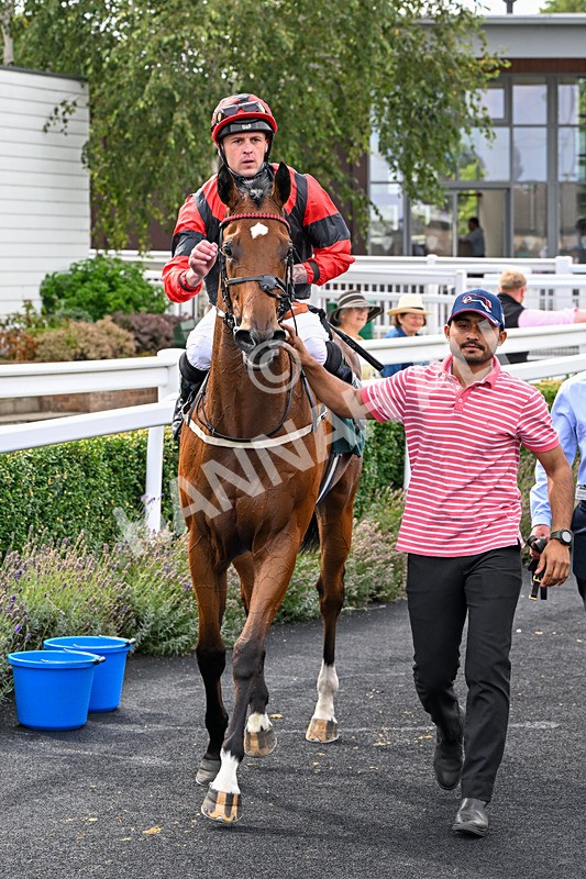 260826-Race 1-Mugheer-2190 - Race 1 14:15 Yorkshire Dales Distillery / EBF Restricted Maiden Stakes