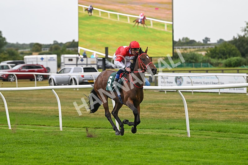 270825-Race 2-Rogue Attraction-4854 - Race 2