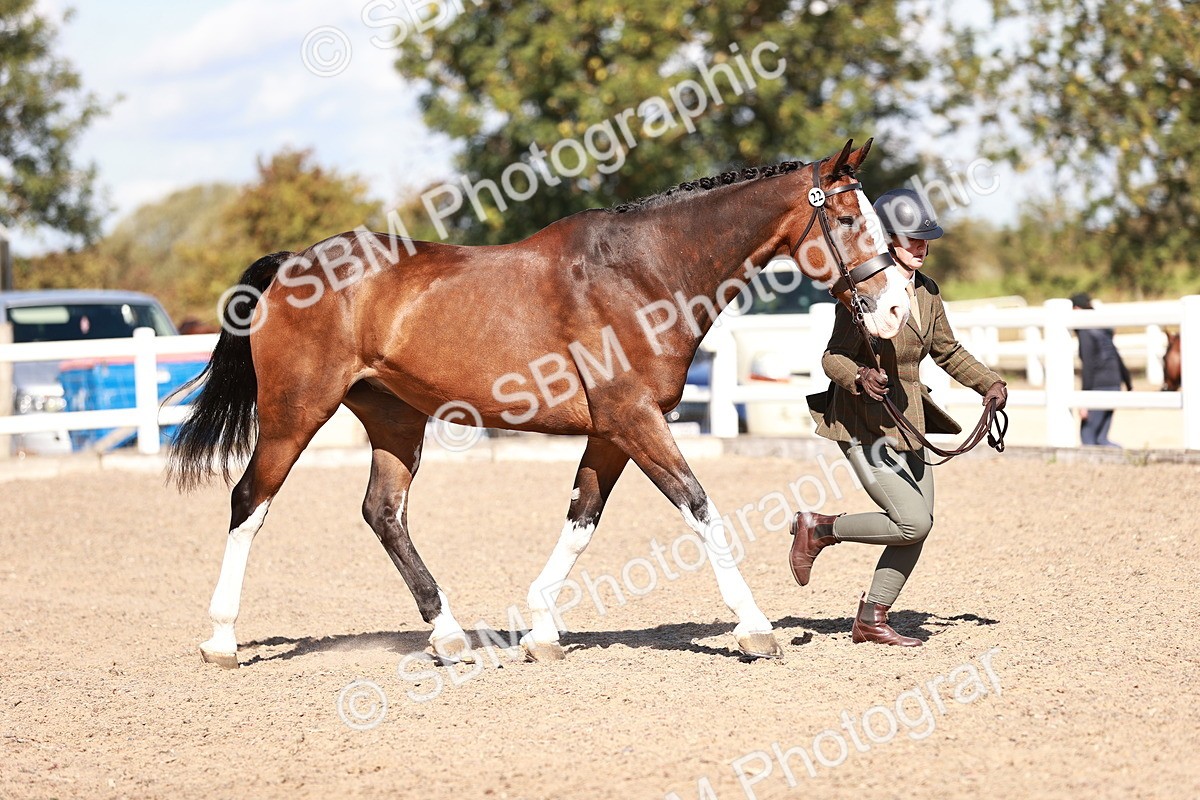 SBM_13311 - class 406 - IH Hunter