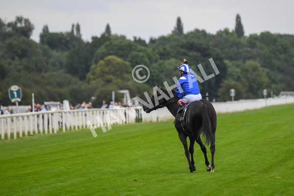 230823-Race 4-Mostahdaf-0611 - Race 4 3.35pm Juddmonte International Stakes