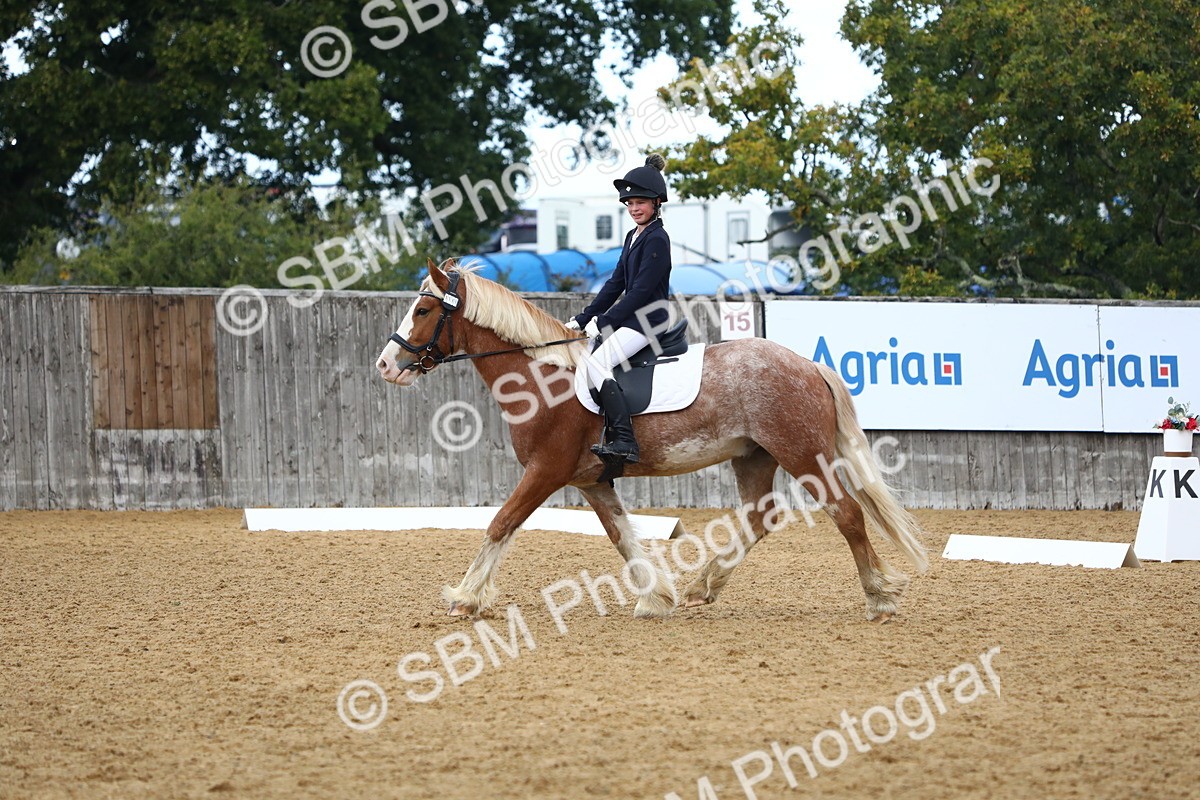 SBM_42650 - D21 - Junior Championship Intro 1