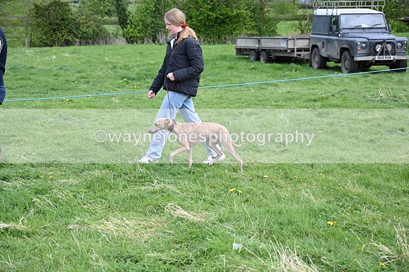 WJ6_8108 - Class 2 Best Pedigree