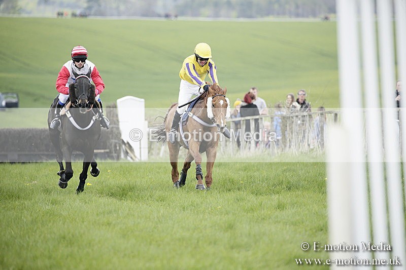 PtP 170417 24 - Old Berks Point-to-Point Lockinge 17/04/17