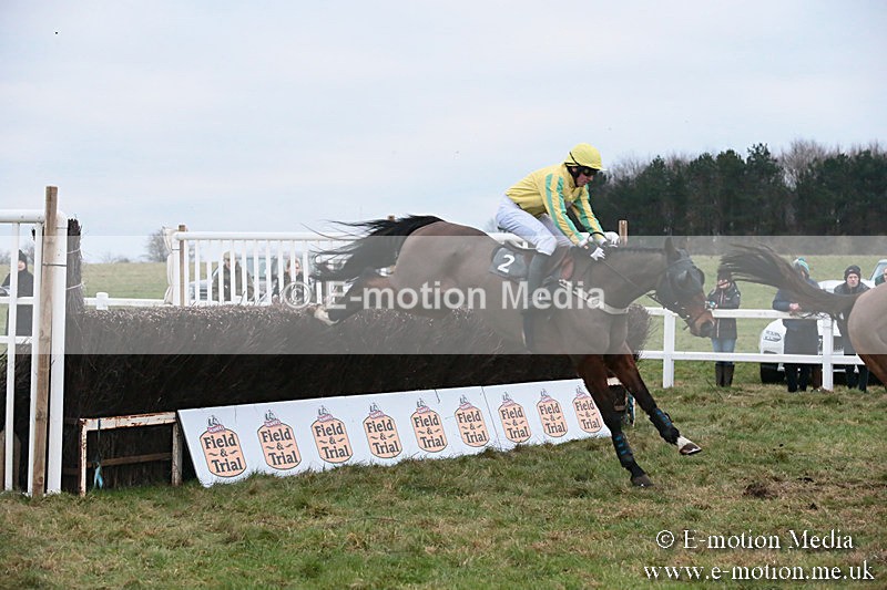 PtP 060119 585 - Larkhill Racing Club - Point-to-Point- 06/01/2019