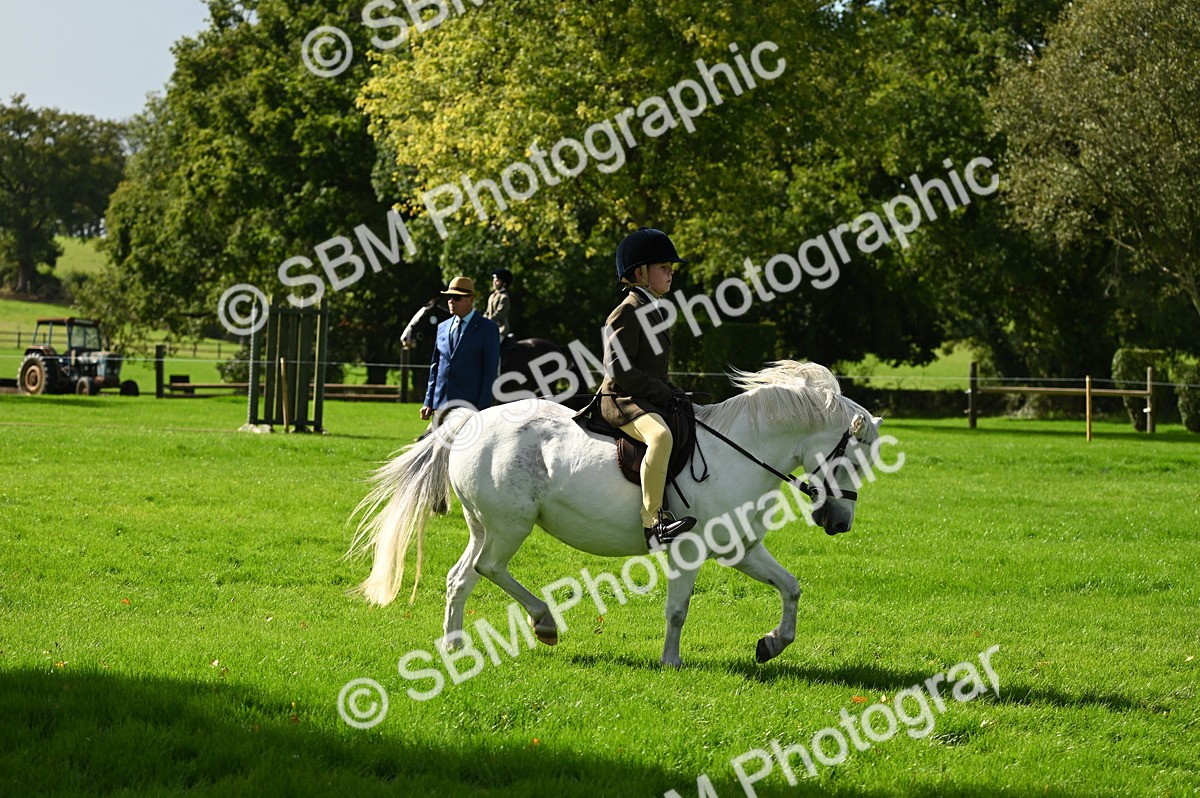 SBM_02759 - S3 - TSR Ridden Pony Showing