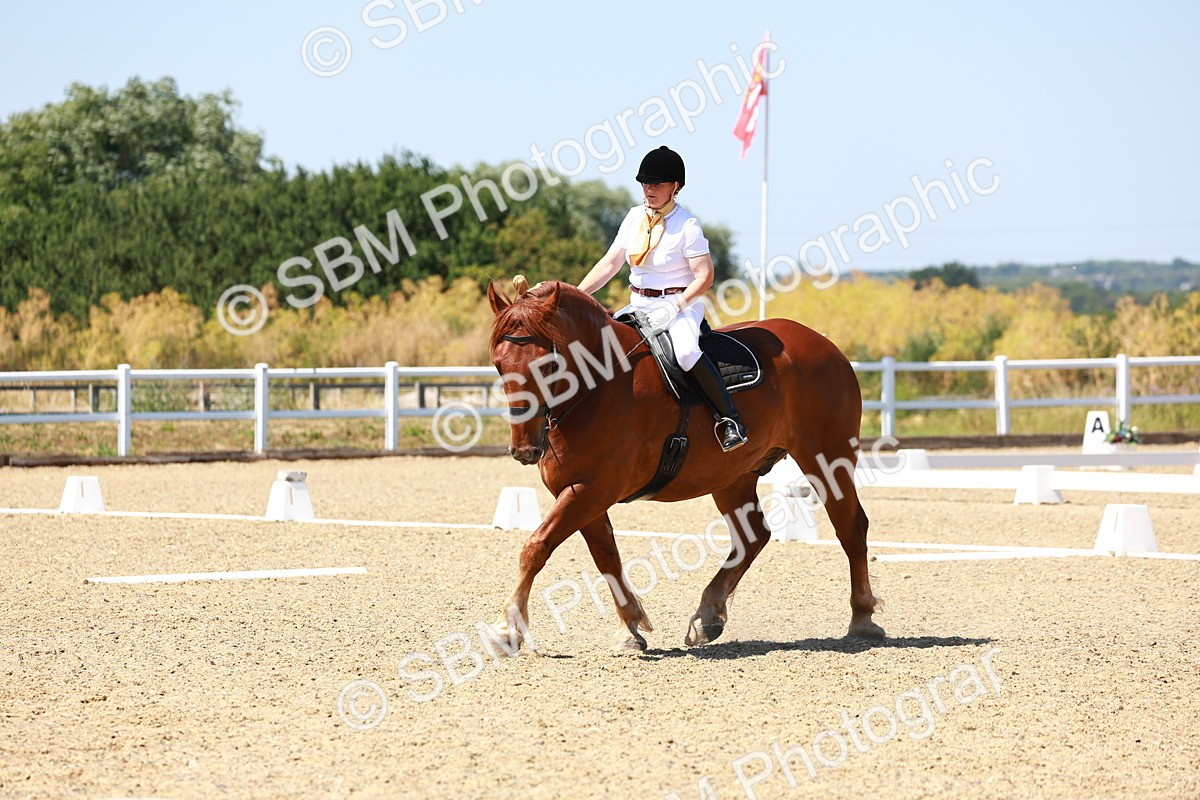 SBM_011809 - Intro 3 - 13.00-14.10