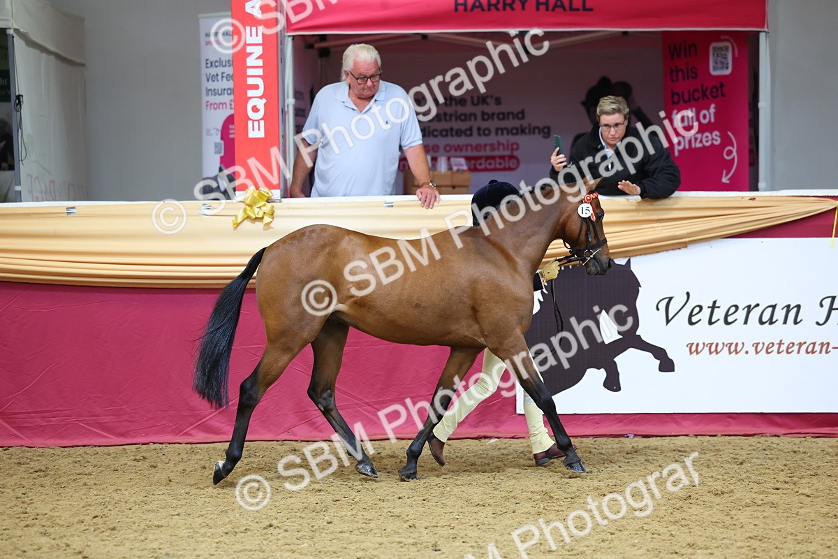 SBM_22633 - Class 903 - Supreme Final - IH Pre Vet