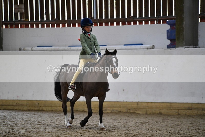 WJ5_6837 - Class 10 Childs Pony