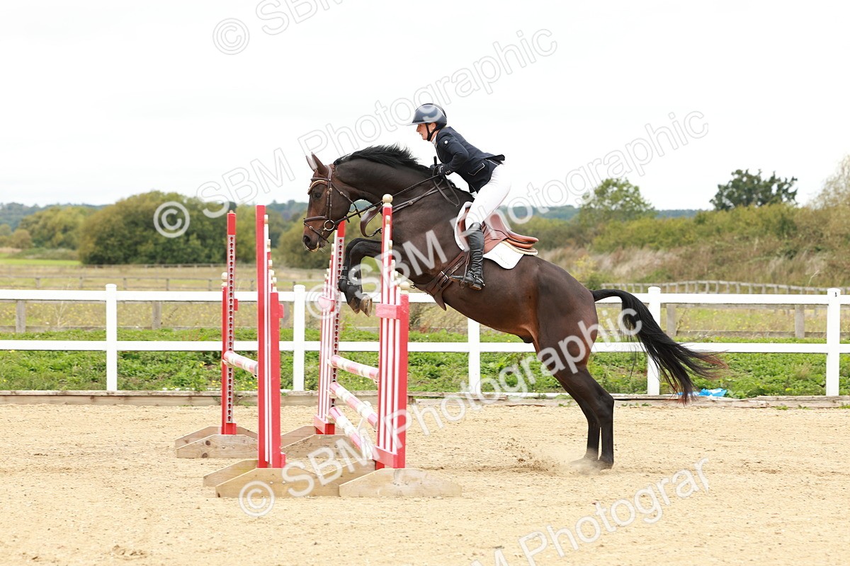 1I0A6831 - Class 2 - Senior British Novice