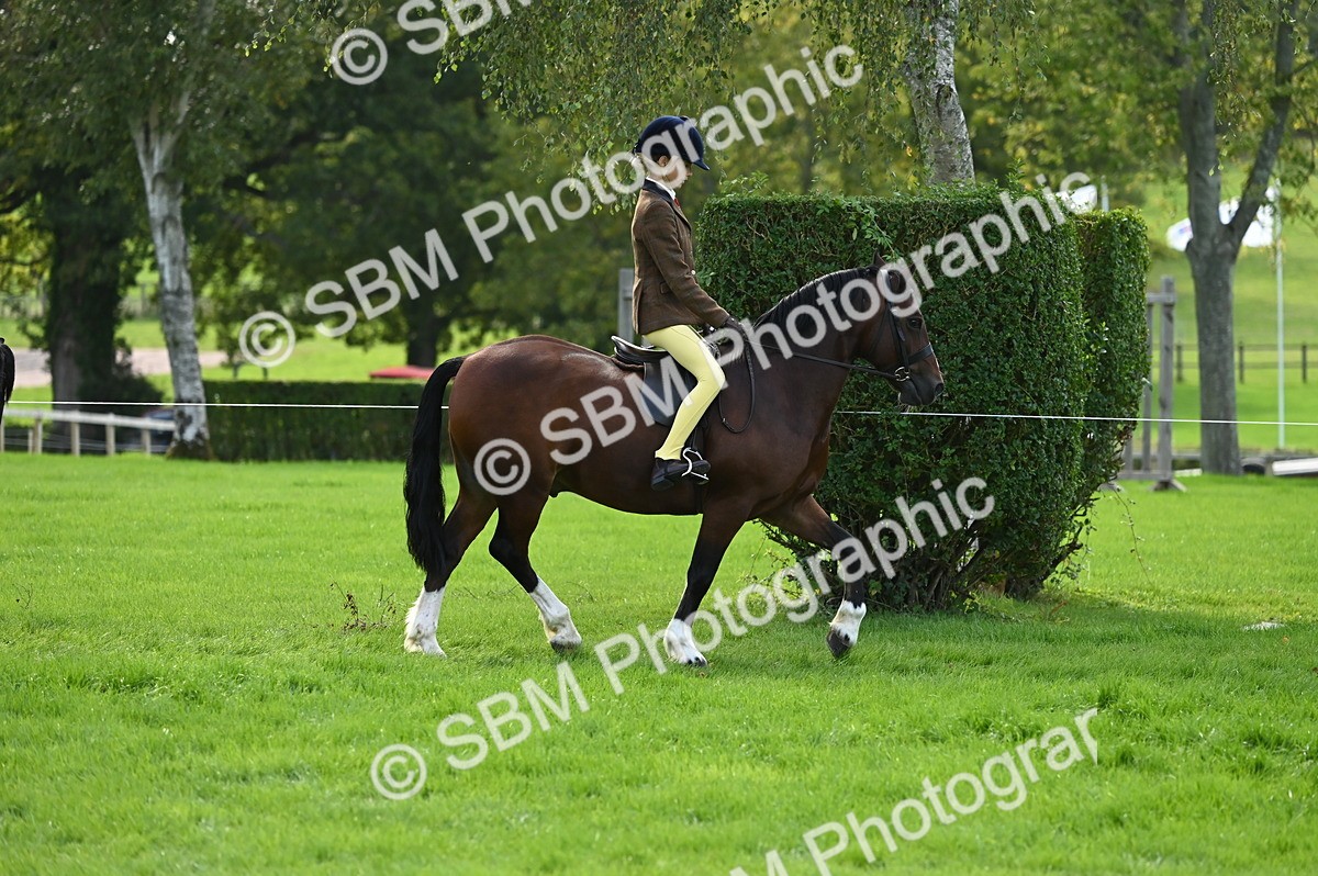 SBM_02601 - S3 - TSR Ridden Pony Showing