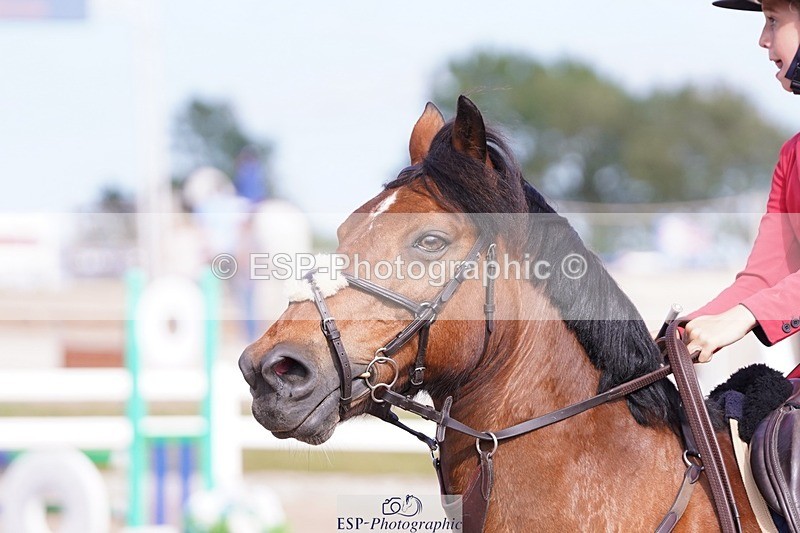 250629-174218-13275 - Cls 33 Stepping Stones 128cm and 138cm