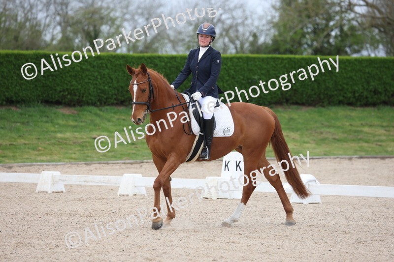 20260404-0135 - Class 2 - Intro 4