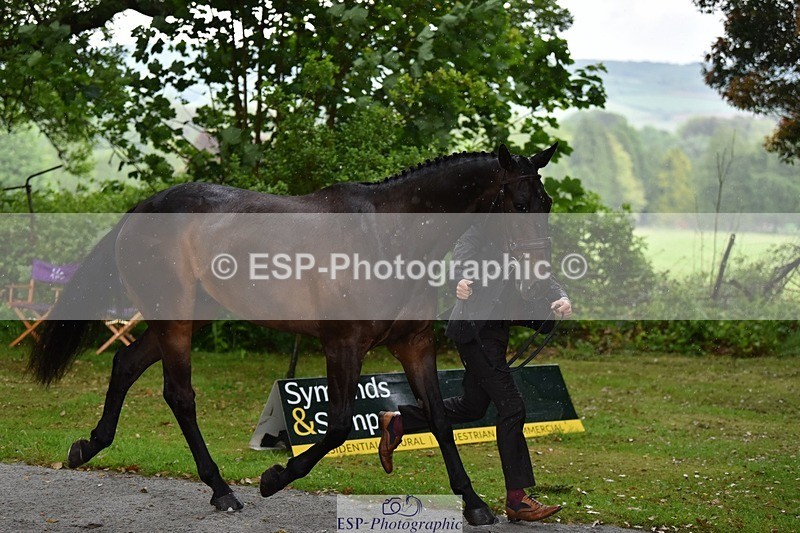 240522-151322-00177 - 316-LB_METTAPHOR-Tom_Rowland