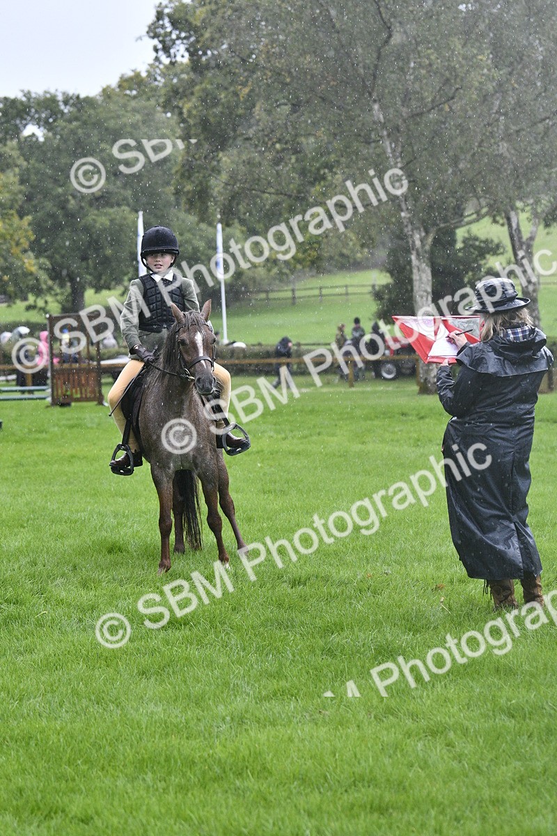 SBM_37133 - S31 - Novice & Newcomer Working Hunter Pony