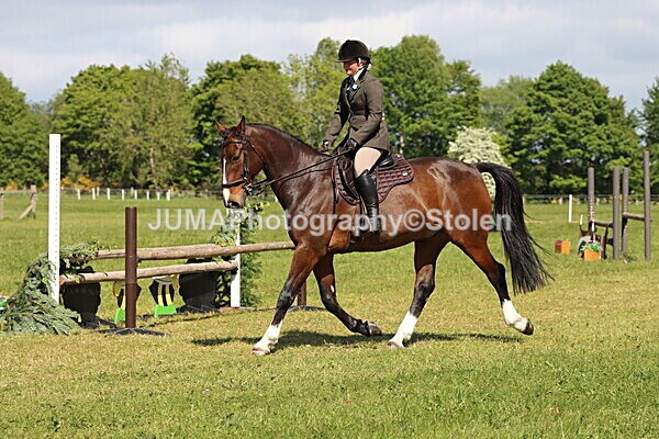 IMG_4641 - Working Hunter