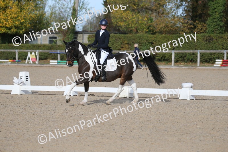 20261011-0255 - Class 4 - Novice 6