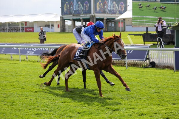 yr13052021r4-46 - Race 4 3.10pm Al Basti Equiworld Dubai Dante Stakes