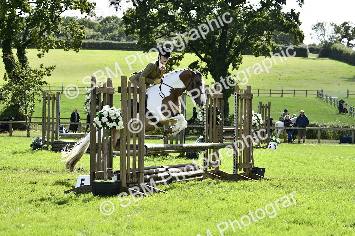 SBM_45686 - S33 - Working Hunter Pony